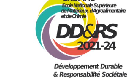 Logo Label DDRS